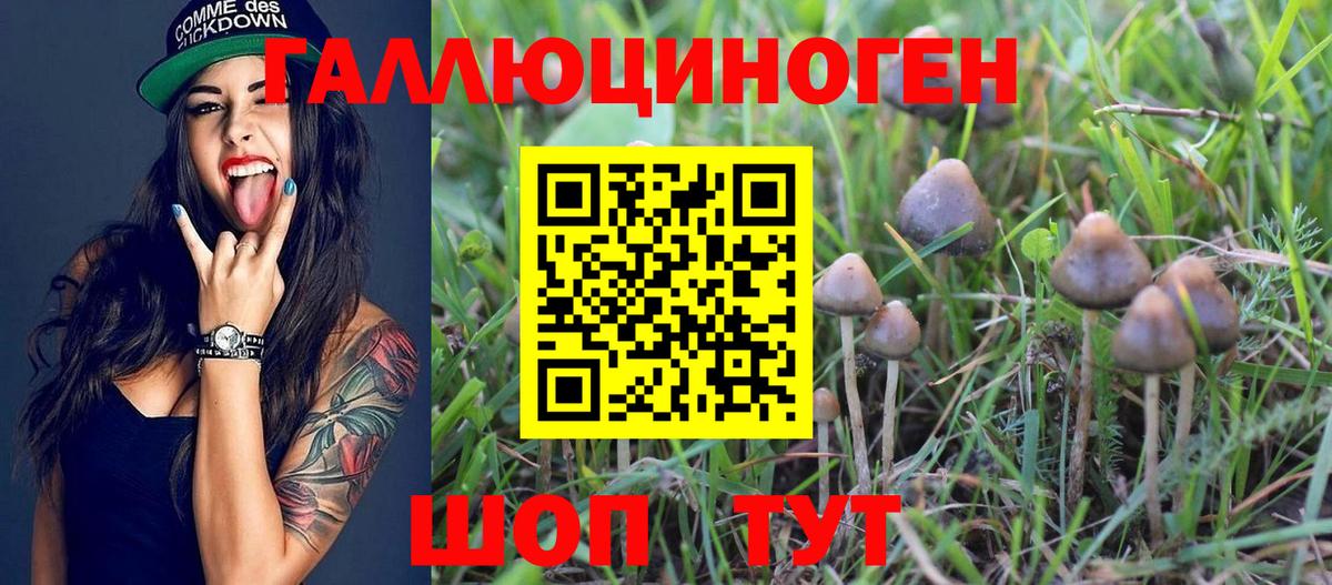 Псилоцибиновые грибы прущие грибы Еманжелинск